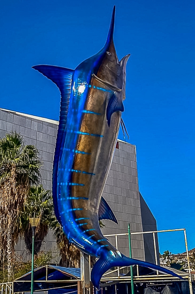 giant blue marlin