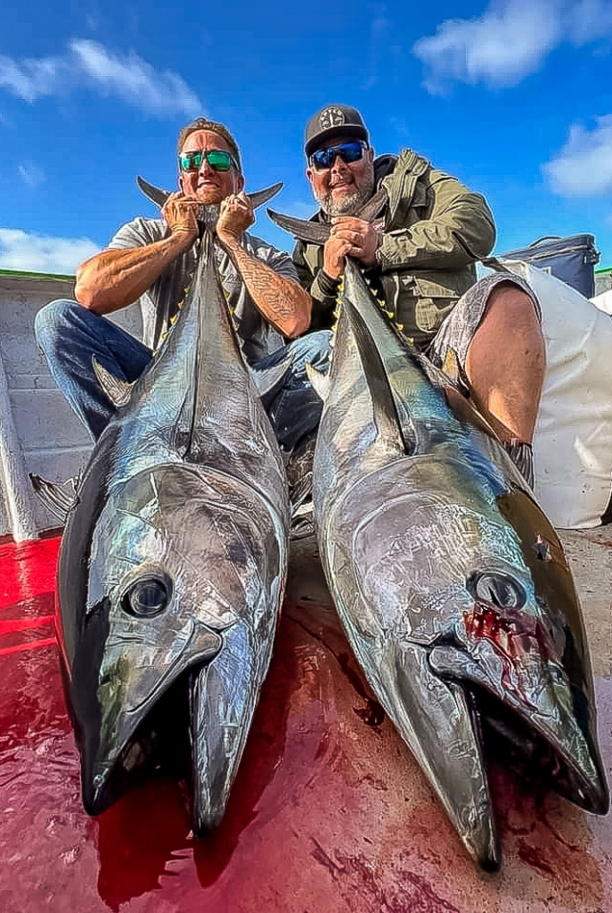A pair of Baja Bluefin