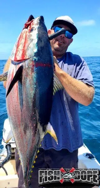 So Cal Bluefin tuna