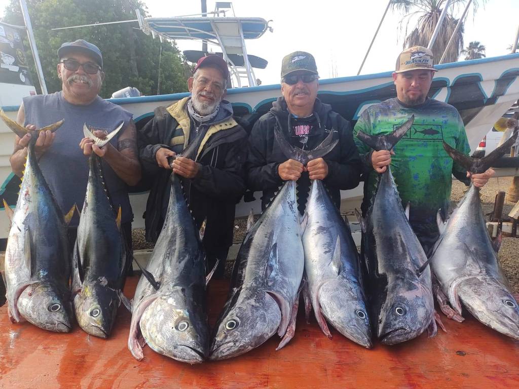 7 Baja bluefin in a row