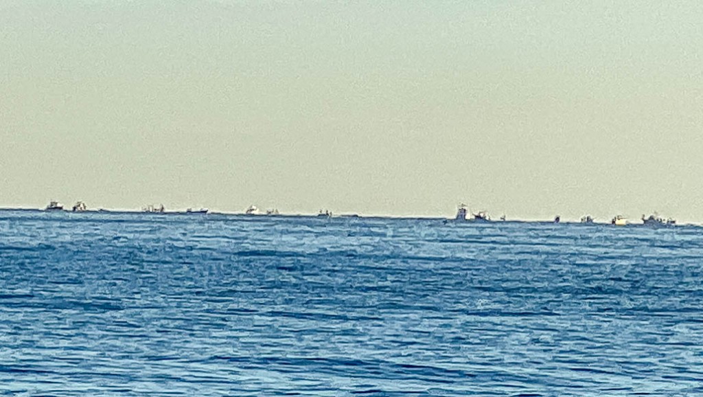 East Cape Fleet of boats fishing for yellowtail